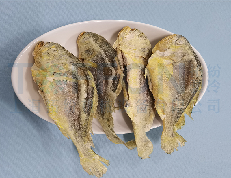 黃花魚凍干，食品凍干機(jī)應(yīng)用于黃花魚真空冷凍干燥