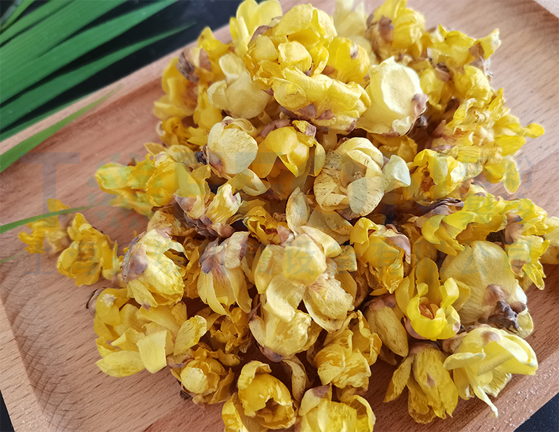 臘梅花凍干，食品凍干機(jī)應(yīng)用于臘梅花凍干案例