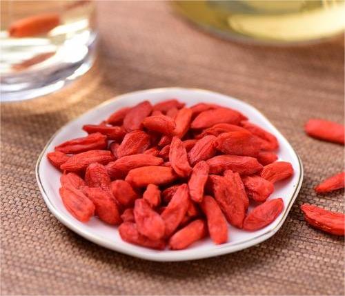 枸杞凍干，食品真空冷凍干燥機(jī)應(yīng)用于枸杞凍干